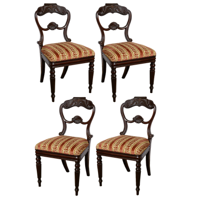 Antique English Mahogany Wm IV Chairs - Set of 4
